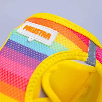 PawStar  Airmesh Rainbow Göğüs Tasması