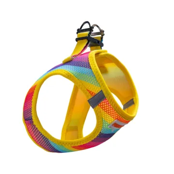 PawStar  Airmesh Rainbow Göğüs Tasması