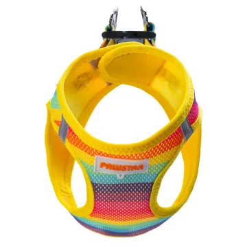 PawStar  Airmesh Rainbow Göğüs Tasması