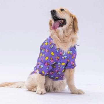 PawStar Ice Cream Büyük Irk Gömlek