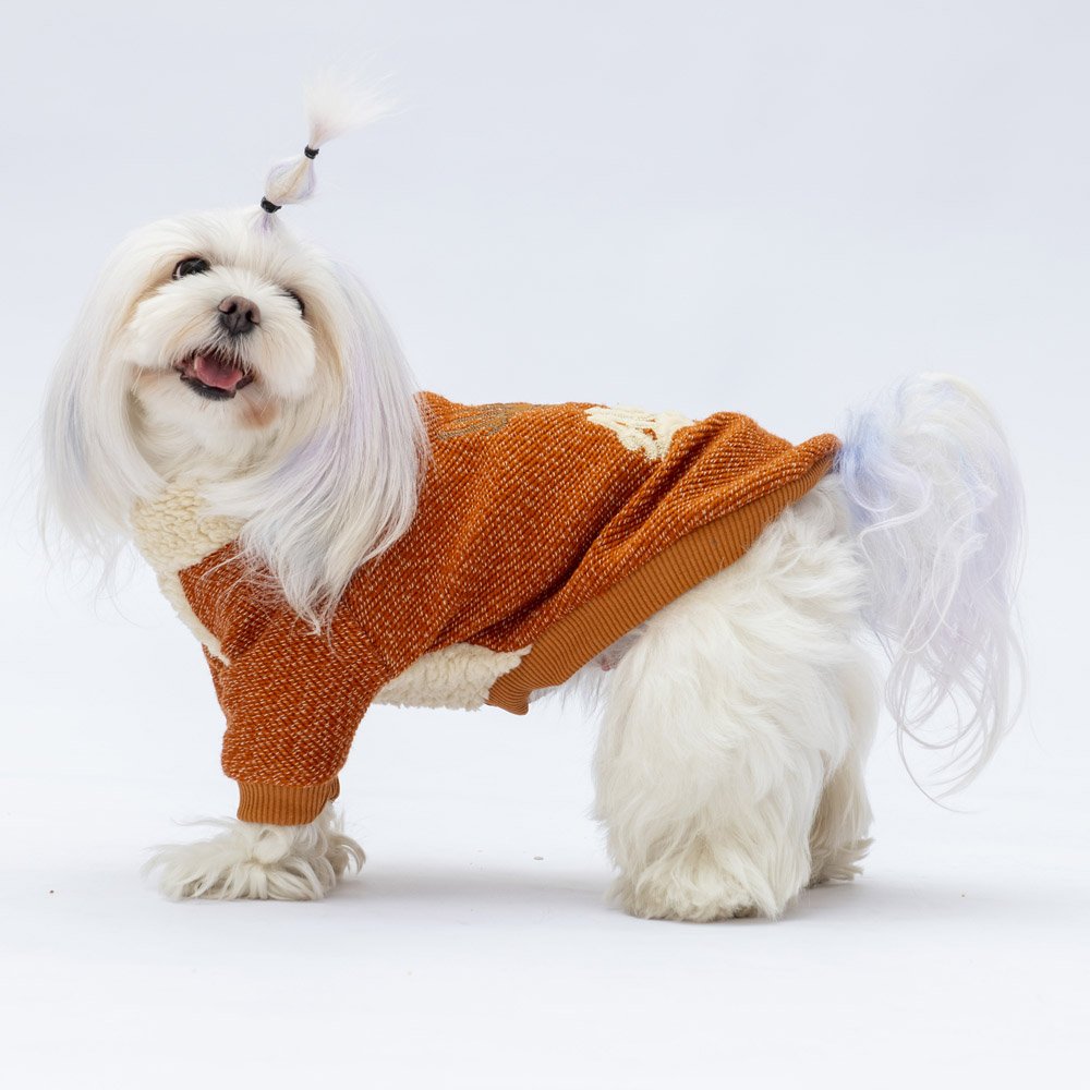 PawStar Kiremir Alaska Sweat Küçük ve Orta Irk