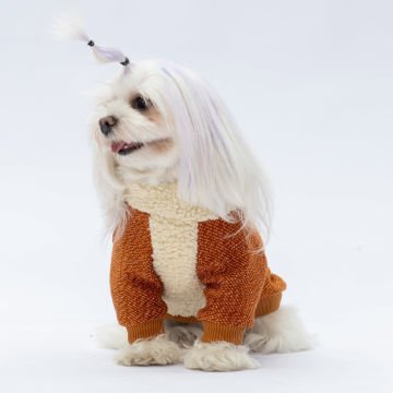 PawStar Kiremir Alaska Sweat Küçük ve Orta Irk