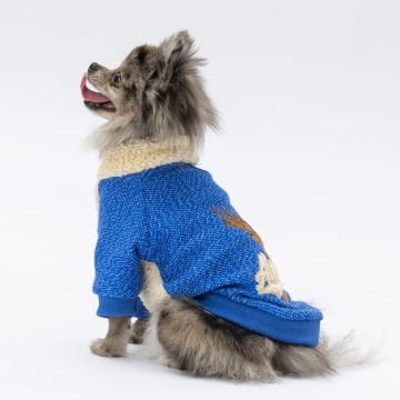 PawStar Sax Mavi Alaska Sweat Küçük ve Orta Irk