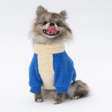 PawStar Sax Mavi Alaska Sweat Küçük ve Orta Irk