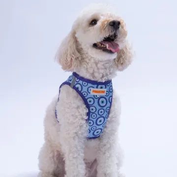 PawStar  Airmesh Charm Evil Eye Göğüs Tasması