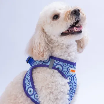 PawStar  Airmesh Charm Evil Eye Göğüs Tasması