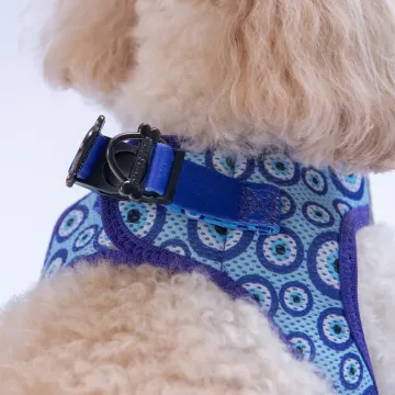 PawStar  Airmesh Charm Evil Eye Göğüs Tasması