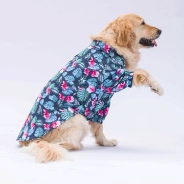 PawStar Floral Desenli Büyük Irk Gömlek