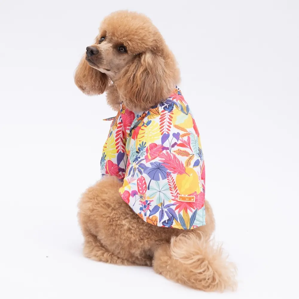 PawStar 25404 Miami Desenli Gömlek