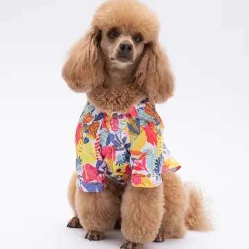 PawStar 25404 Miami Desenli Gömlek