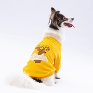 PawStar Sarı Alaska Sweat Küçük ve Orta Irk
