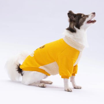 PawStar Sarı Alaska Sweat Küçük ve Orta Irk