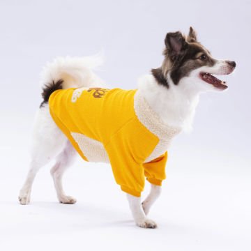 PawStar Sarı Alaska Sweat Küçük ve Orta Irk