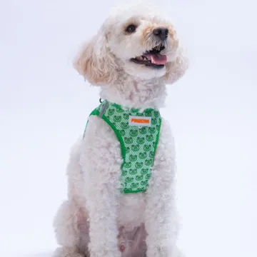 PawStar  Airmesh Frog Göğüs Tasması