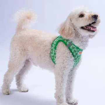 PawStar  Airmesh Frog Göğüs Tasması