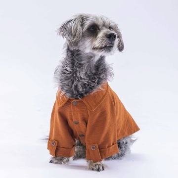PawStar  Kahverengi Linen Look Gömlek