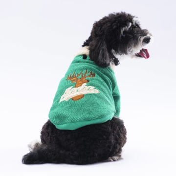 PawStar Yeşil Alaska Sweat Küçük ve Orta Irk