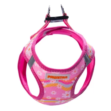 PawStar  Airmesh Daisy Göğüs Tasması