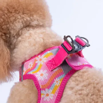 PawStar  Airmesh Daisy Göğüs Tasması