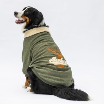 PawStar Haki Alaska Büyük Irk Sweat