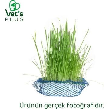 Vet's Plus Tüy Yumaklarına Karşı %100 Doğal Fileli Kedi Çimi