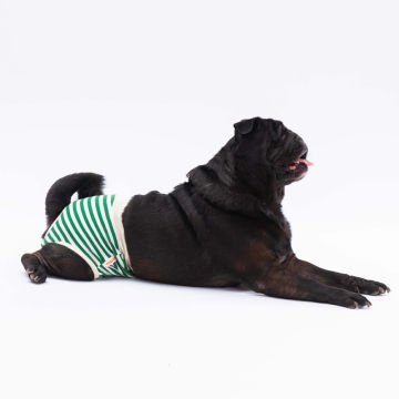 PawStar Çizgili Çamaşır (Paket de Farklı  Renkte 3 Adet Bulunur)