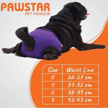 PawStar Çizgili Çamaşır (Paket de Farklı  Renkte 3 Adet Bulunur)