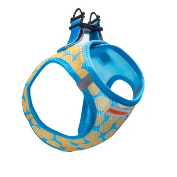 PawStar  Airmesh Citrus Göğüs Tasması