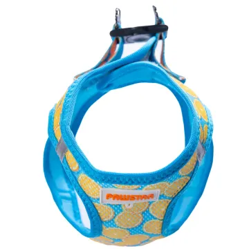 PawStar  Airmesh Citrus Göğüs Tasması