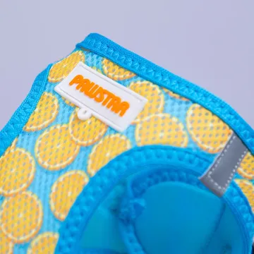 PawStar  Airmesh Citrus Göğüs Tasması