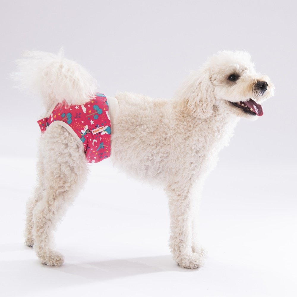 PawStar Mix Çiçekli Çamaşır (Paket de Farklı  Renk ve Desen de 3 Adet Bulunur)