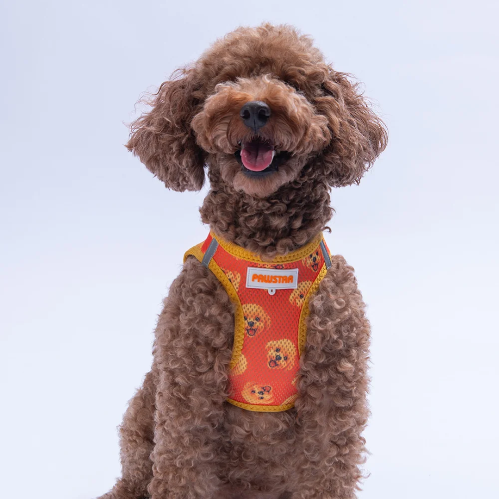 PawStar  Airmesh Poodle Göğüs Tasması