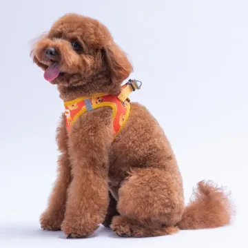 PawStar  Airmesh Poodle Göğüs Tasması