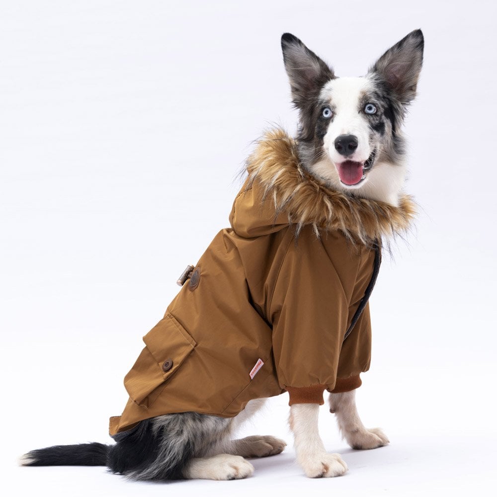 PawStar Camel Chrles Büyük Irk Yağmurluk