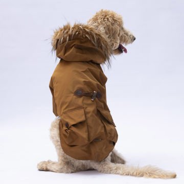 PawStar Camel Chrles Büyük Irk Yağmurluk