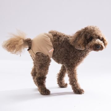 PawStar Düz Renkler 2 Çamaşır (Paket de Farklı  Renkte 3 Adet Bulunur)