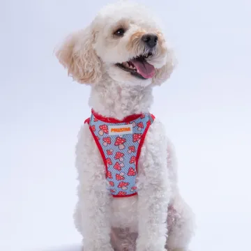 PawStar  Airmesh Mushroom Göğüs Tasması