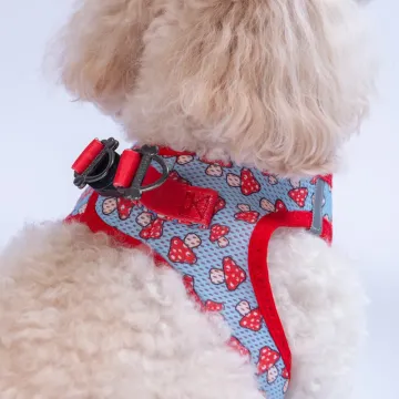 PawStar  Airmesh Mushroom Göğüs Tasması