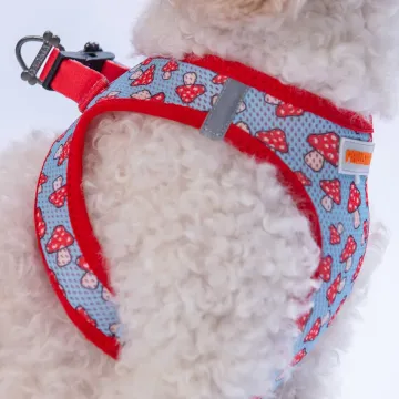 PawStar  Airmesh Mushroom Göğüs Tasması