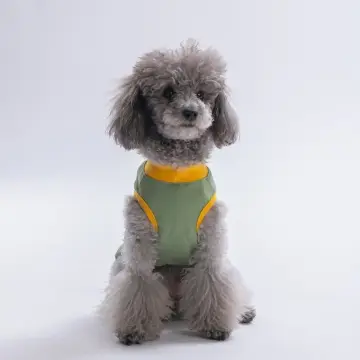 PawStar 26823 Yeşil Just Smile Tişört
