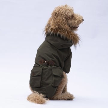 PawStar Haki Charles Büyük Irk Yağmurluk Mont