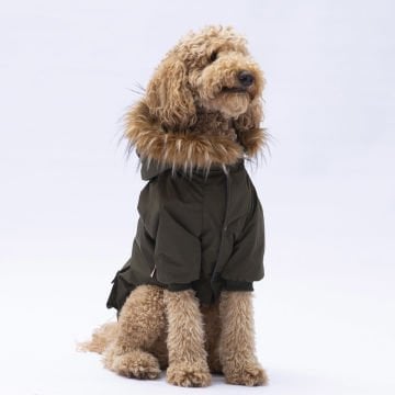 PawStar Haki Charles Büyük Irk Yağmurluk Mont