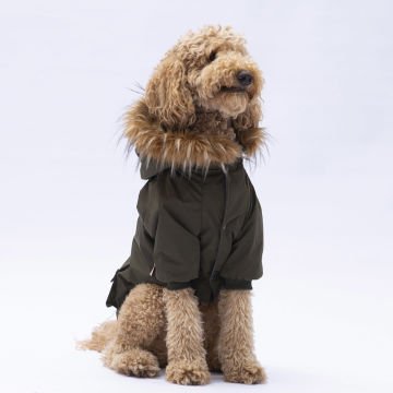 PawStar Haki Charles Büyük Irk Yağmurluk Mont