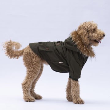 PawStar Haki Charles Büyük Irk Yağmurluk Mont