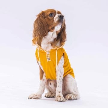 PawStar Sarı Gingham Kapşonlu Polo T-Shirt