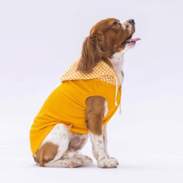PawStar Sarı Gingham Kapşonlu Polo T-Shirt