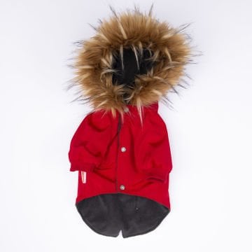 PawStar Kırmızı Charles Büyük Irk Yağmurluk Mont