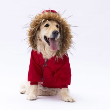 PawStar Kırmızı Charles Büyük Irk Yağmurluk Mont