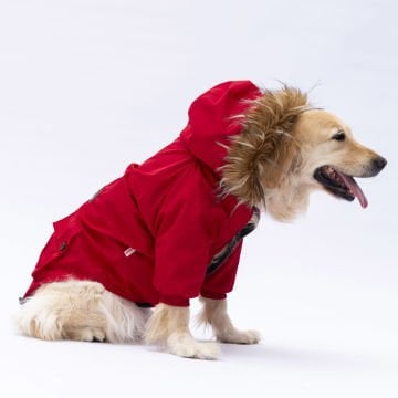 PawStar Kırmızı Charles Büyük Irk Yağmurluk Mont