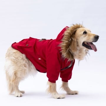 PawStar Kırmızı Charles Büyük Irk Yağmurluk Mont